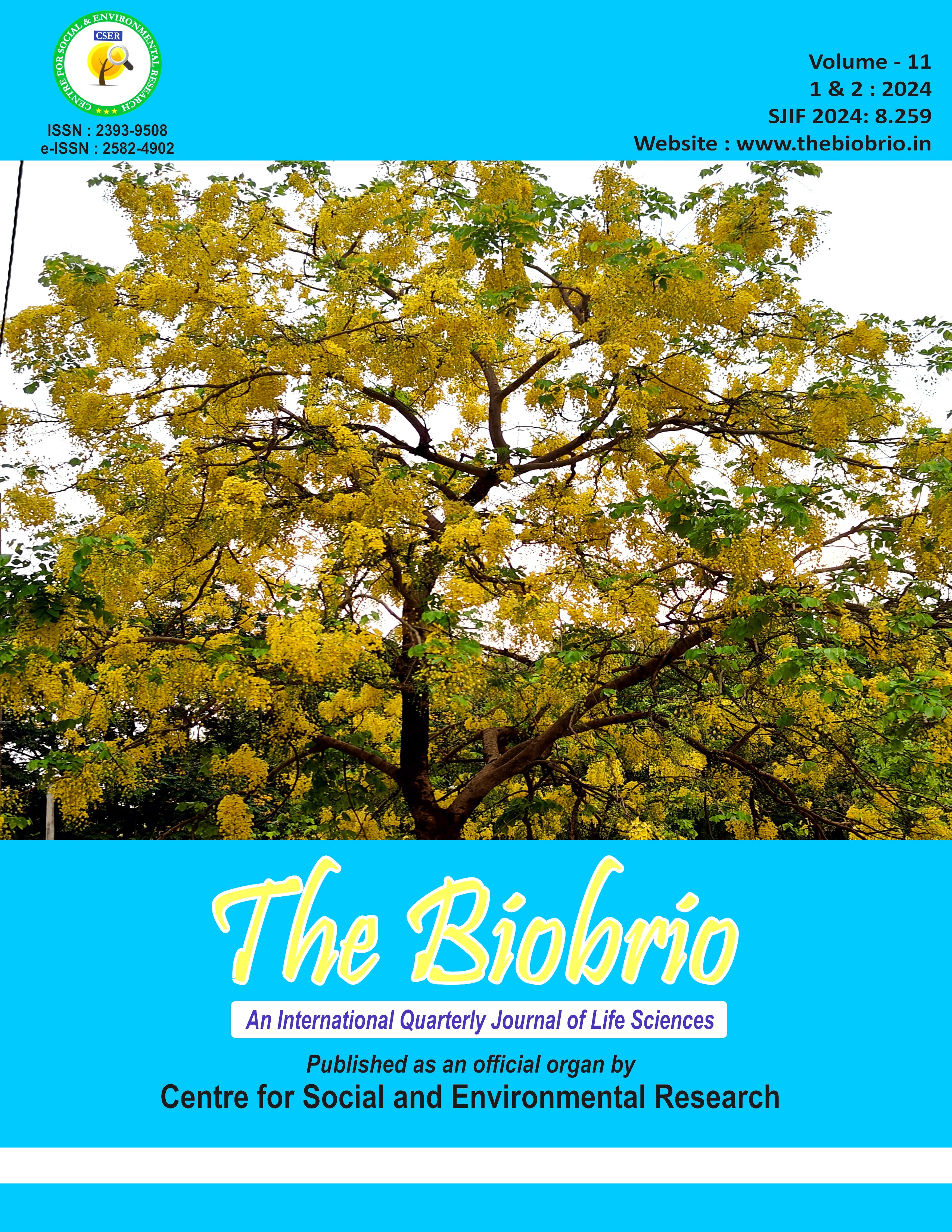 The BioBrio publication